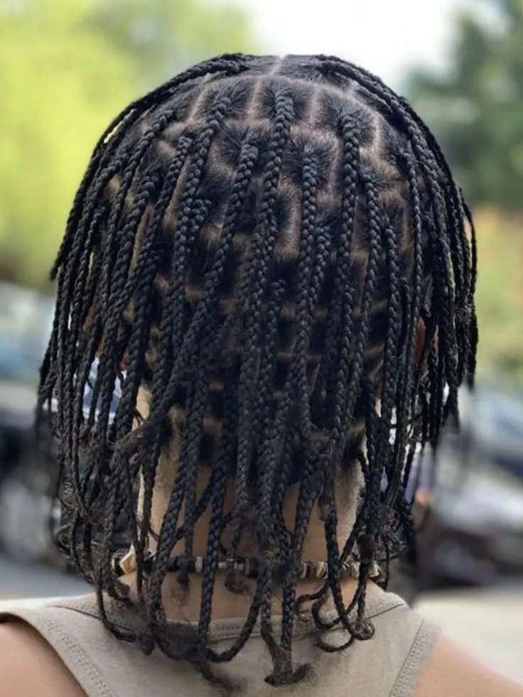 Natural hair braids